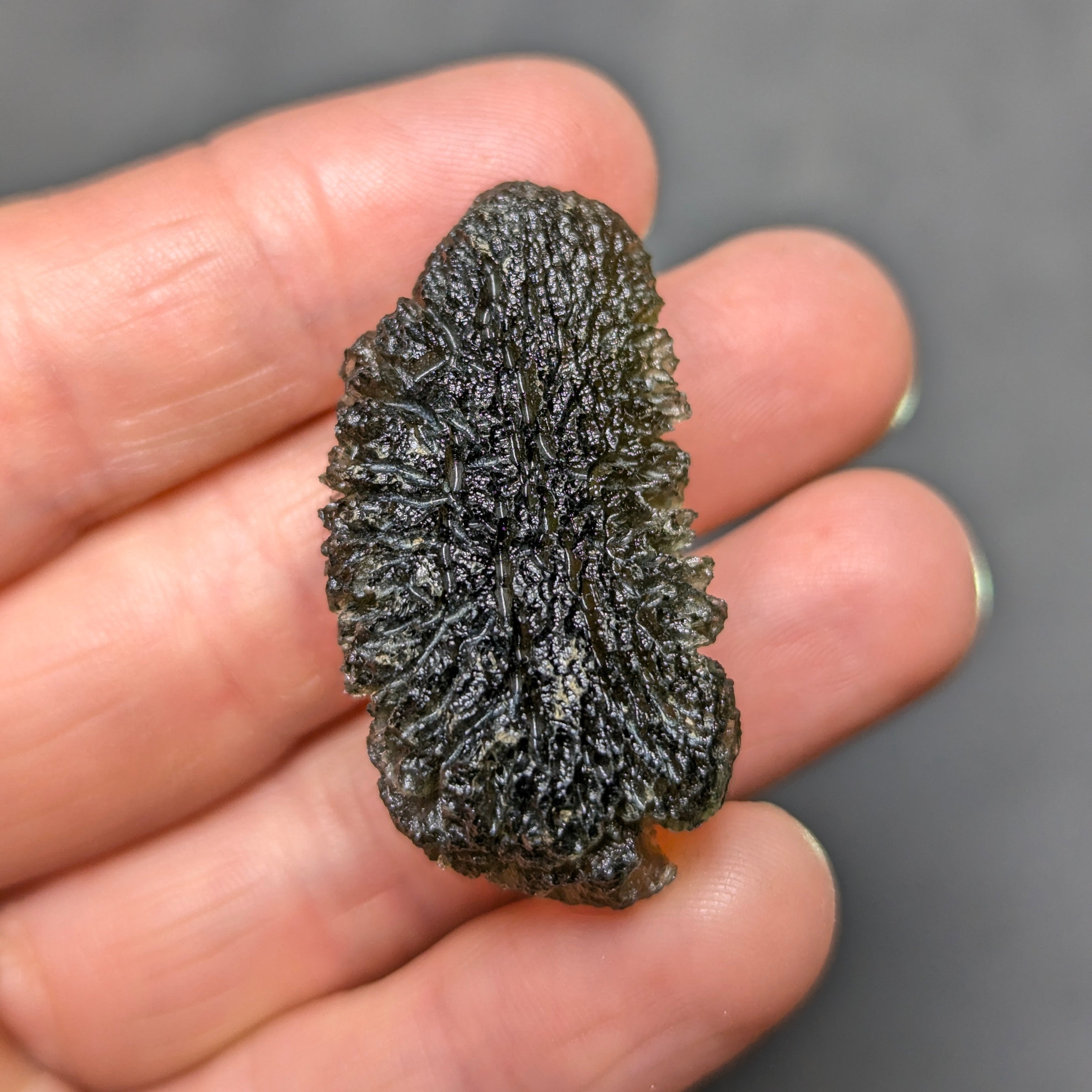 Natural Moldavite from the Olešnice locality weighing 11.82 g with elongated form, deep sharply sculpted texture, pronounced central groove, radiating relief structure and preserved natural surface - back side.