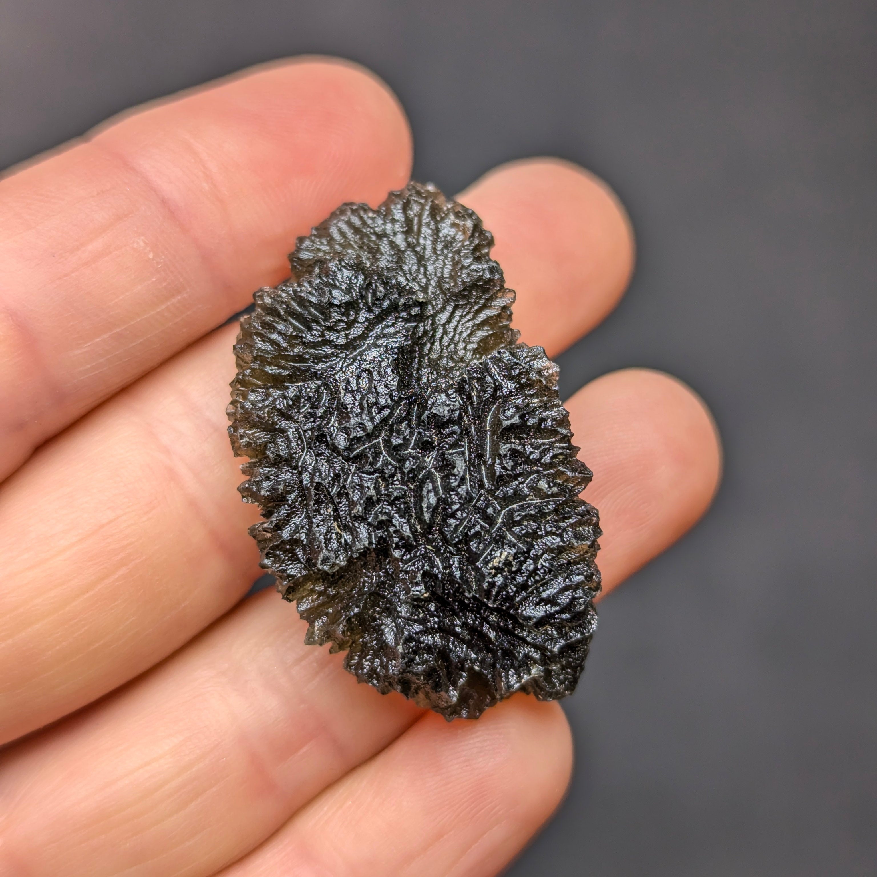 Natural Maly Chlum moldavite weighing 10.8 g with deep sculptation, intricate fern-like texture, sharp radial surface detail, and vivid olive-green translucency - front view.