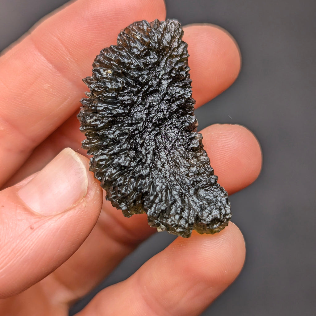 Natural Maly Chlum moldavite weighing 10.8 g with deep sculptation, intricate fern-like texture, sharp radial surface detail, and vivid olive-green translucency - back side.