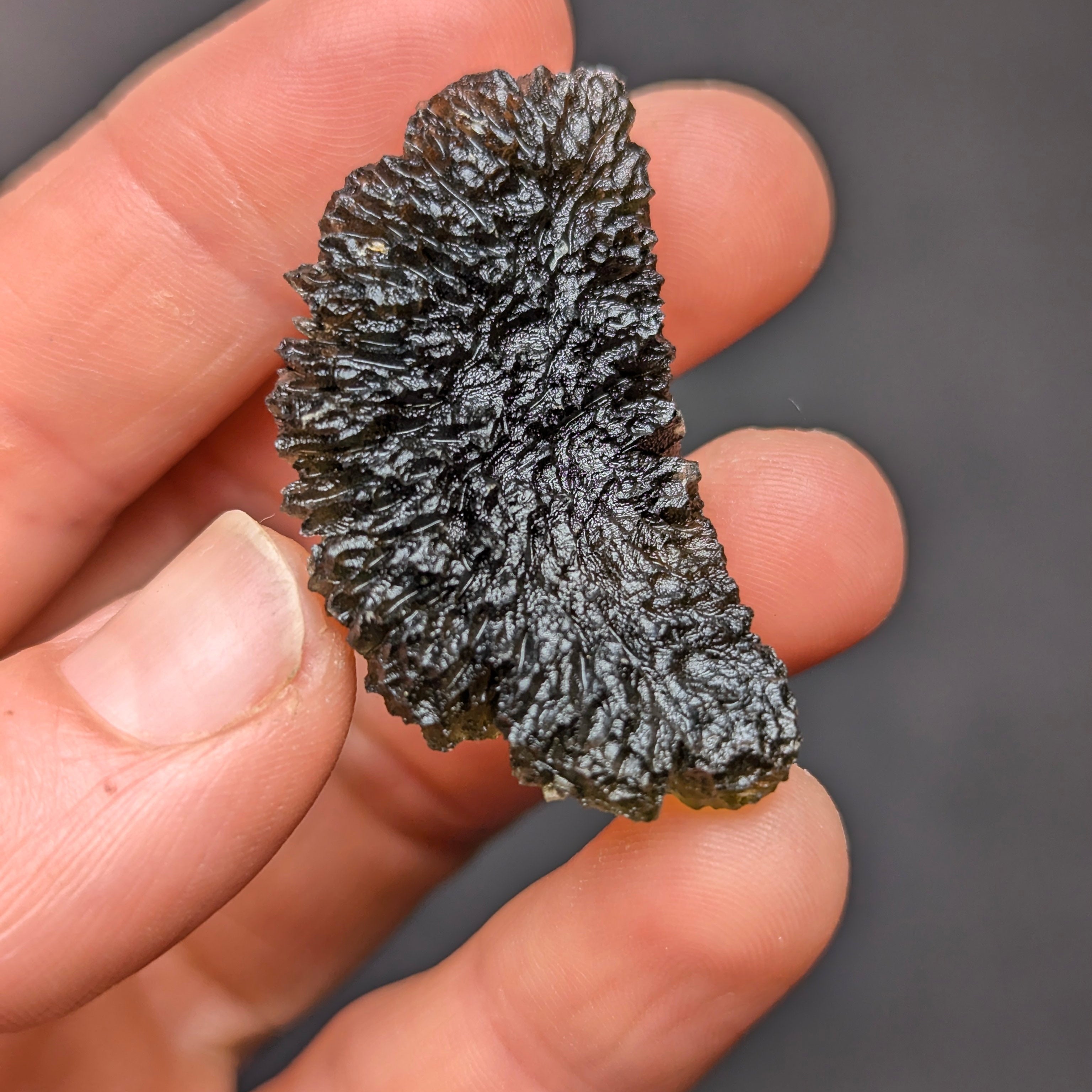 Natural Maly Chlum moldavite weighing 10.8 g with deep sculptation, intricate fern-like texture, sharp radial surface detail, and vivid olive-green translucency - back side.
