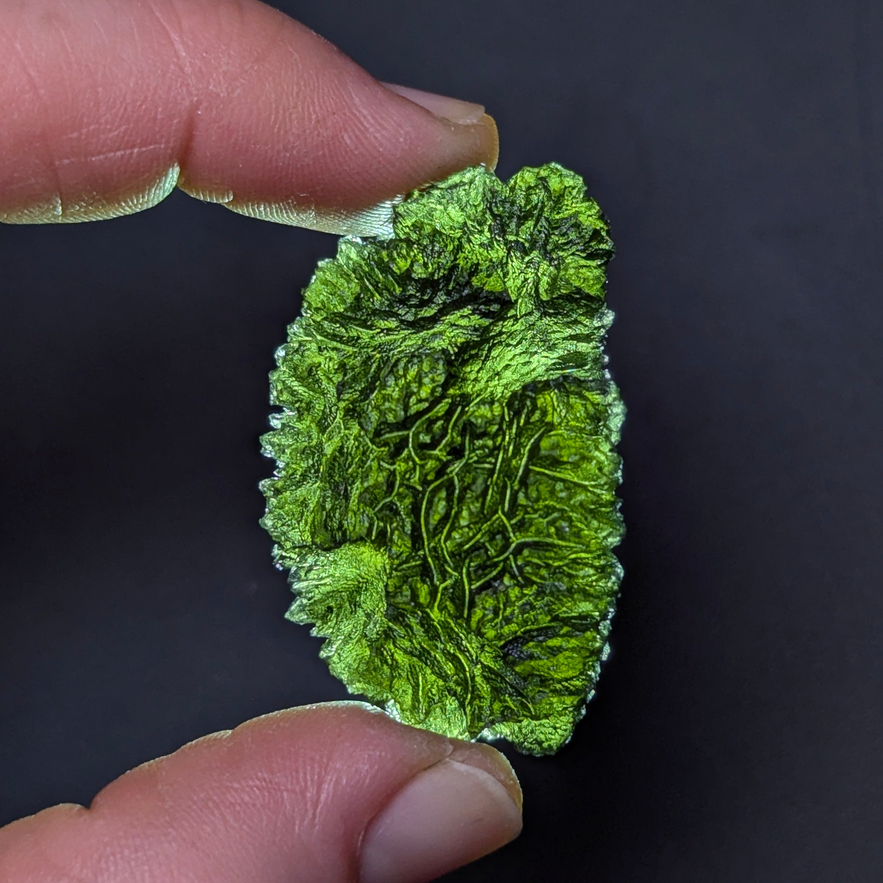 Natural Maly Chlum moldavite weighing 10.8 g with deep sculptation, intricate fern-like texture, sharp radial surface detail, and vivid olive-green translucency - front side, backlight.