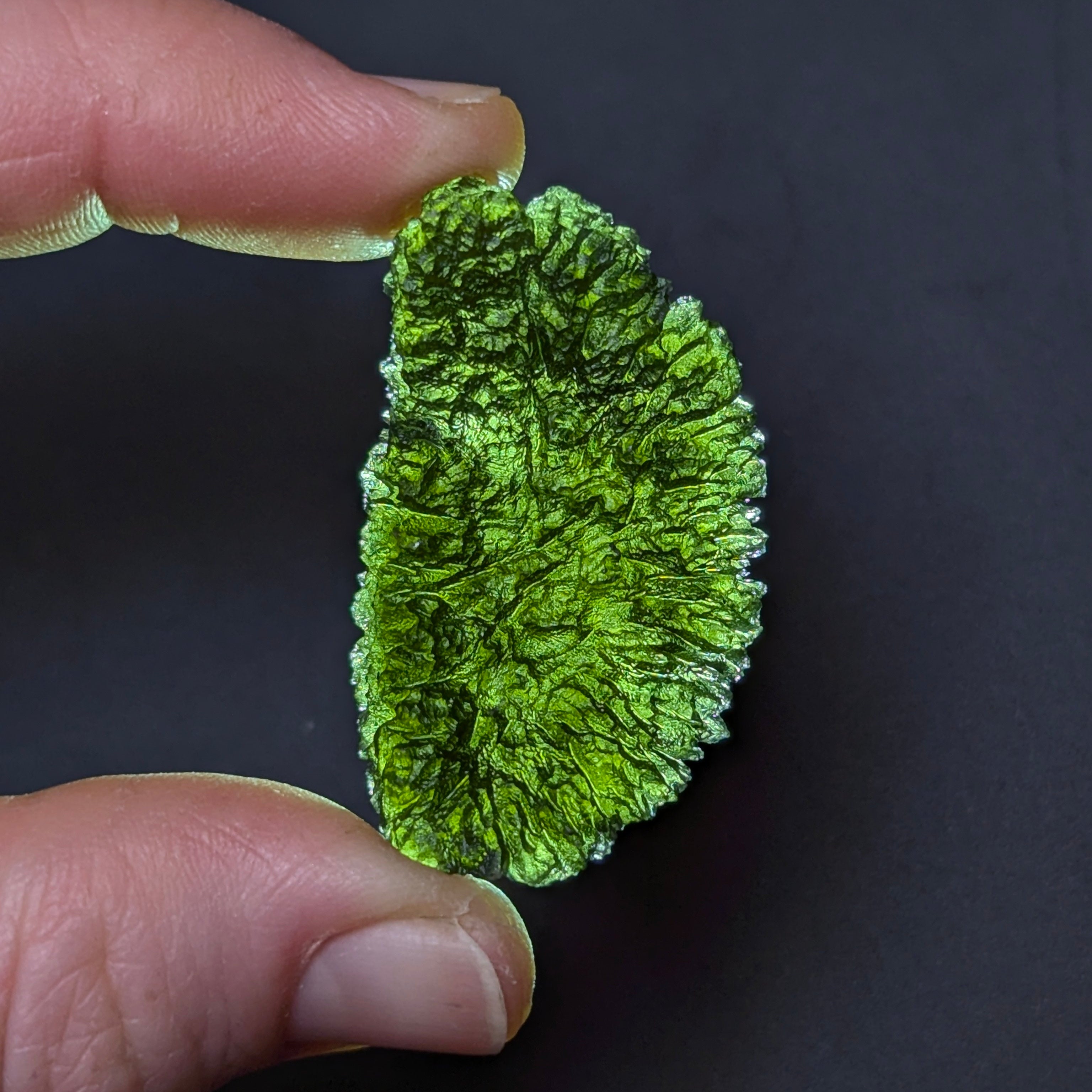 Natural Maly Chlum moldavite weighing 10.8 g with deep sculptation, intricate fern-like texture, sharp radial surface detail, and vivid olive-green translucency - back side, backlight.