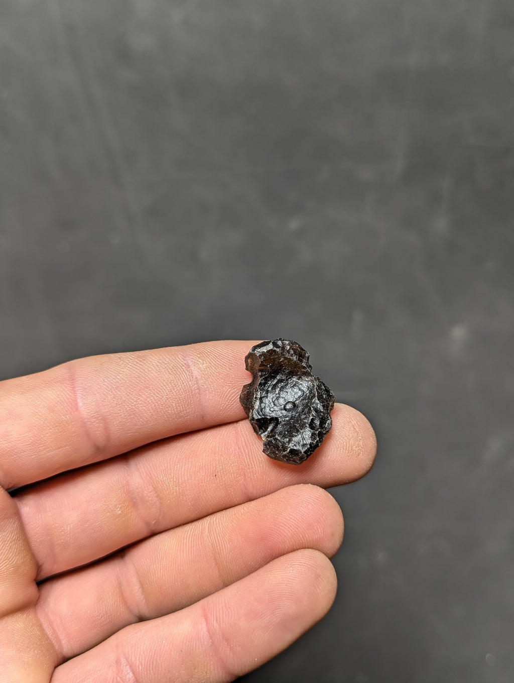 Moravian Moldavite – Slavětice | 4.62 g | Collector-Grade Specimen