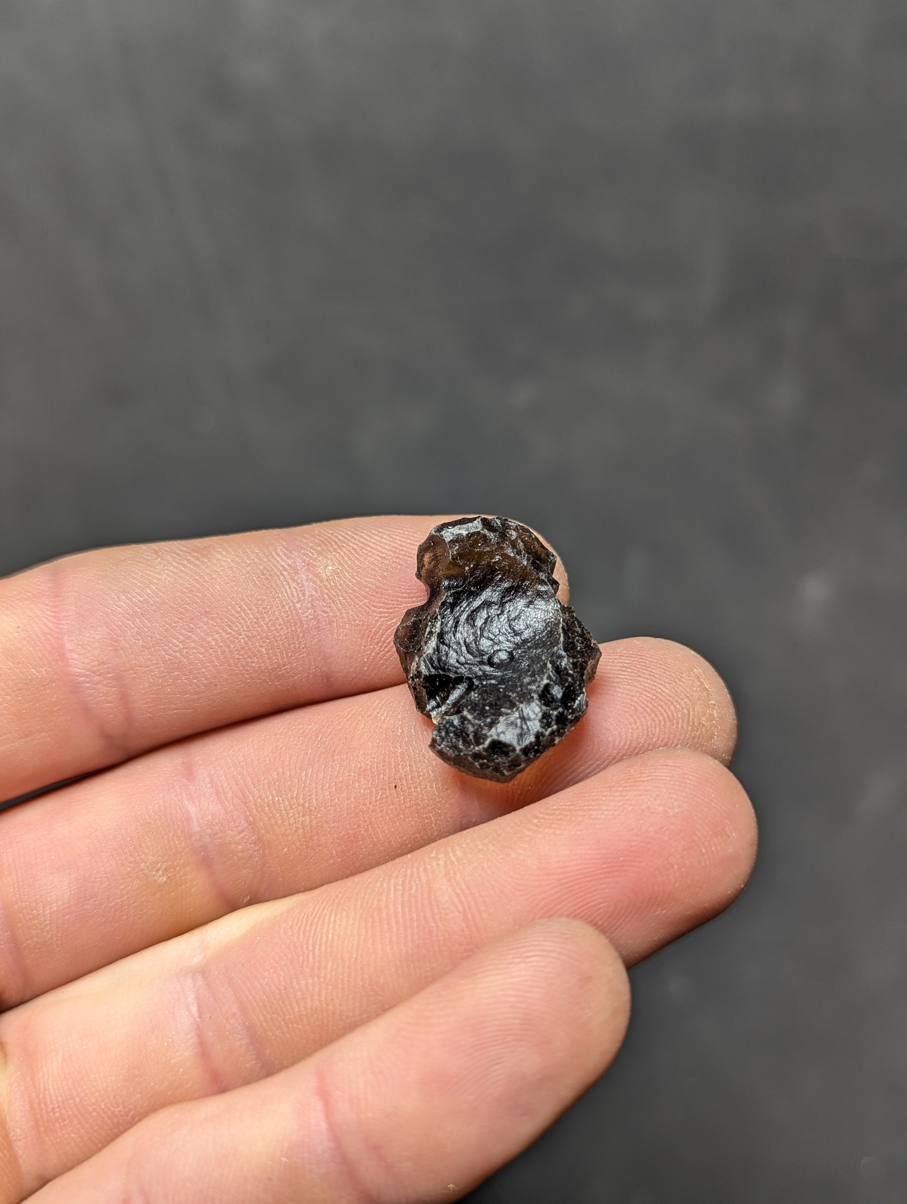 Moravian Moldavite – Slavětice | 4.62 g | Collector-Grade Specimen