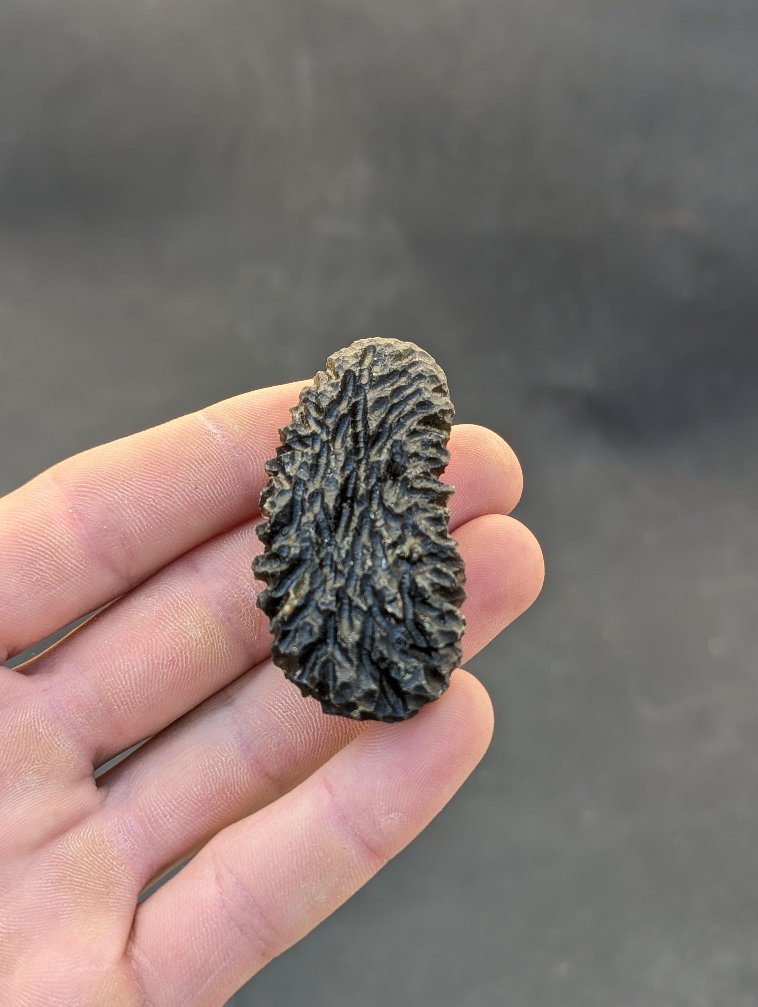 Moravian moldavite Slavětice hedgehog specimen 33g — front view showing dense sculptural surface texture