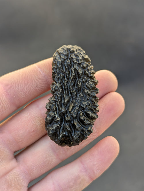 Moravian moldavite Slavětice hedgehog 33g — top view showing characteristic multi-directional ježek morphology