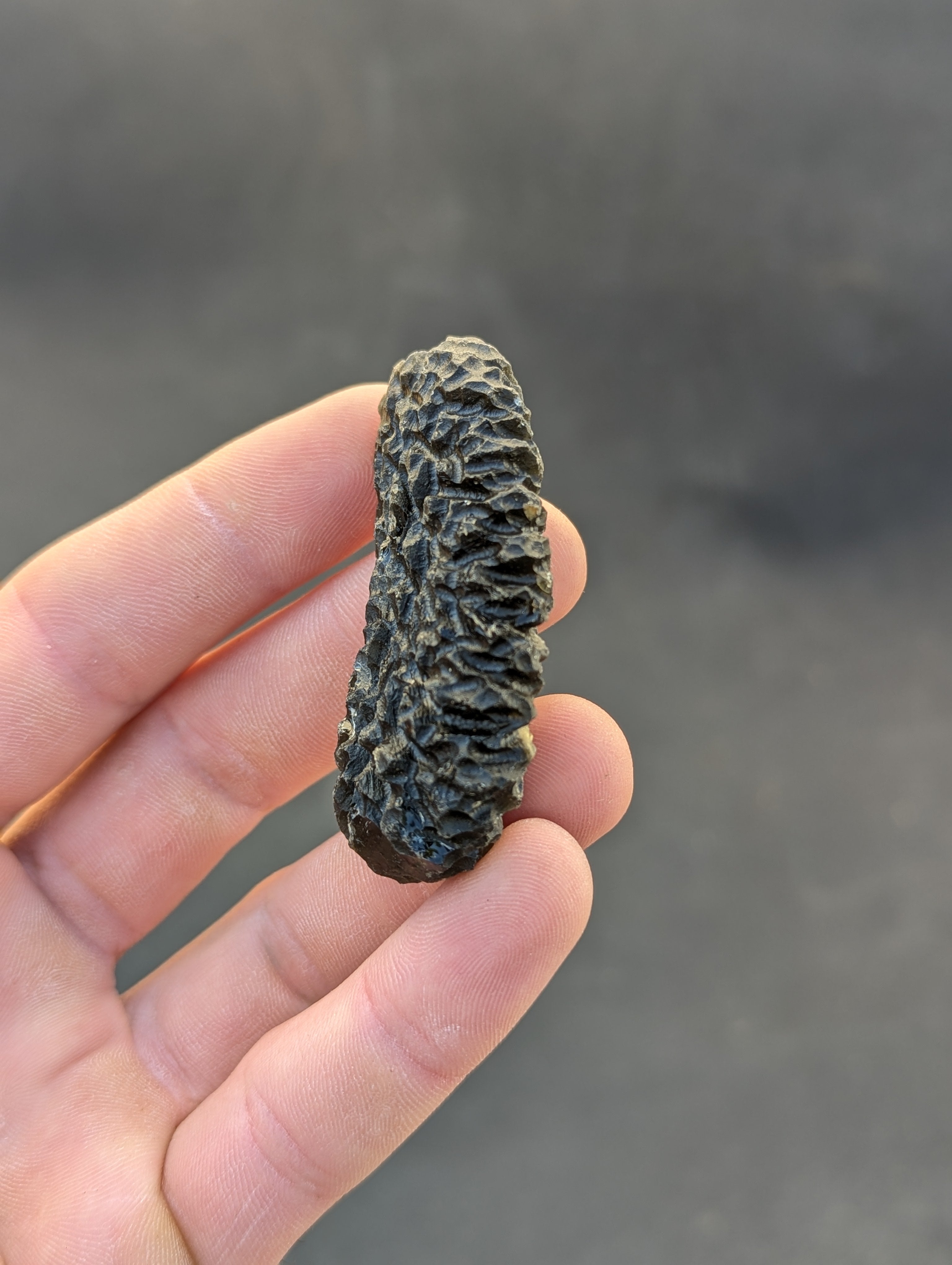 Moravian moldavite Slavětice hedgehog 33g — reverse side showing honey-brown color and surface detail