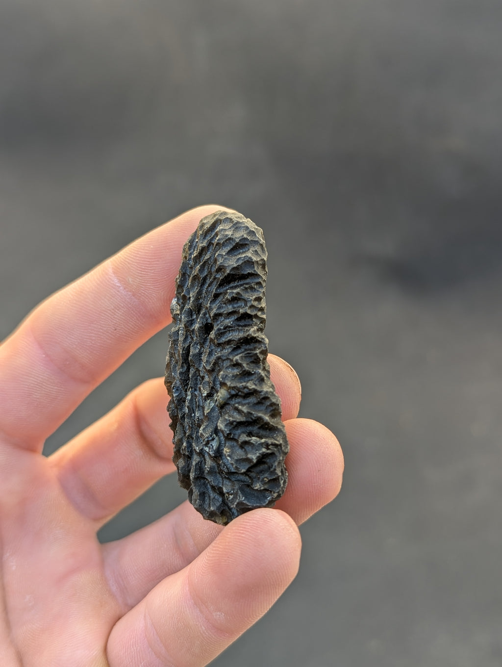 Moravian moldavite Slavětice hedgehog 33g — side profile showing 61mm length and sculptural ridges