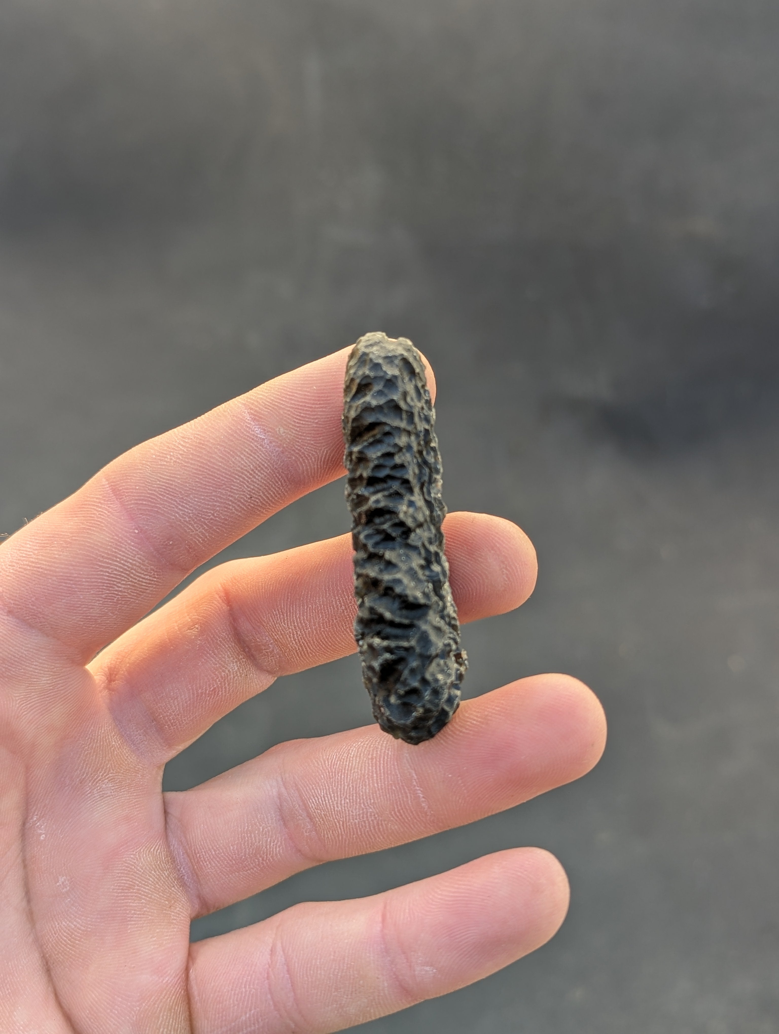 Moravian moldavite Slavětice hedgehog 33g — second side profile view