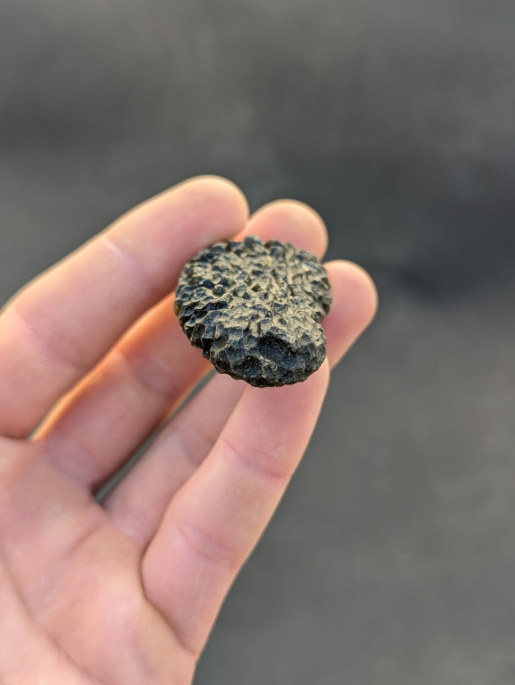 Moravian moldavite Slavětice hedgehog 33g — angled view showing full surface texture and amber tones