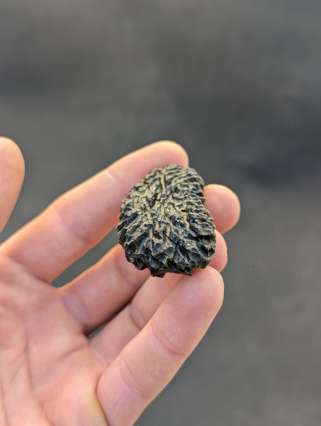 Moravian moldavite Slavětice hedgehog 33g — detailed view of hedgehog surface morphology unique to Slavětice locality