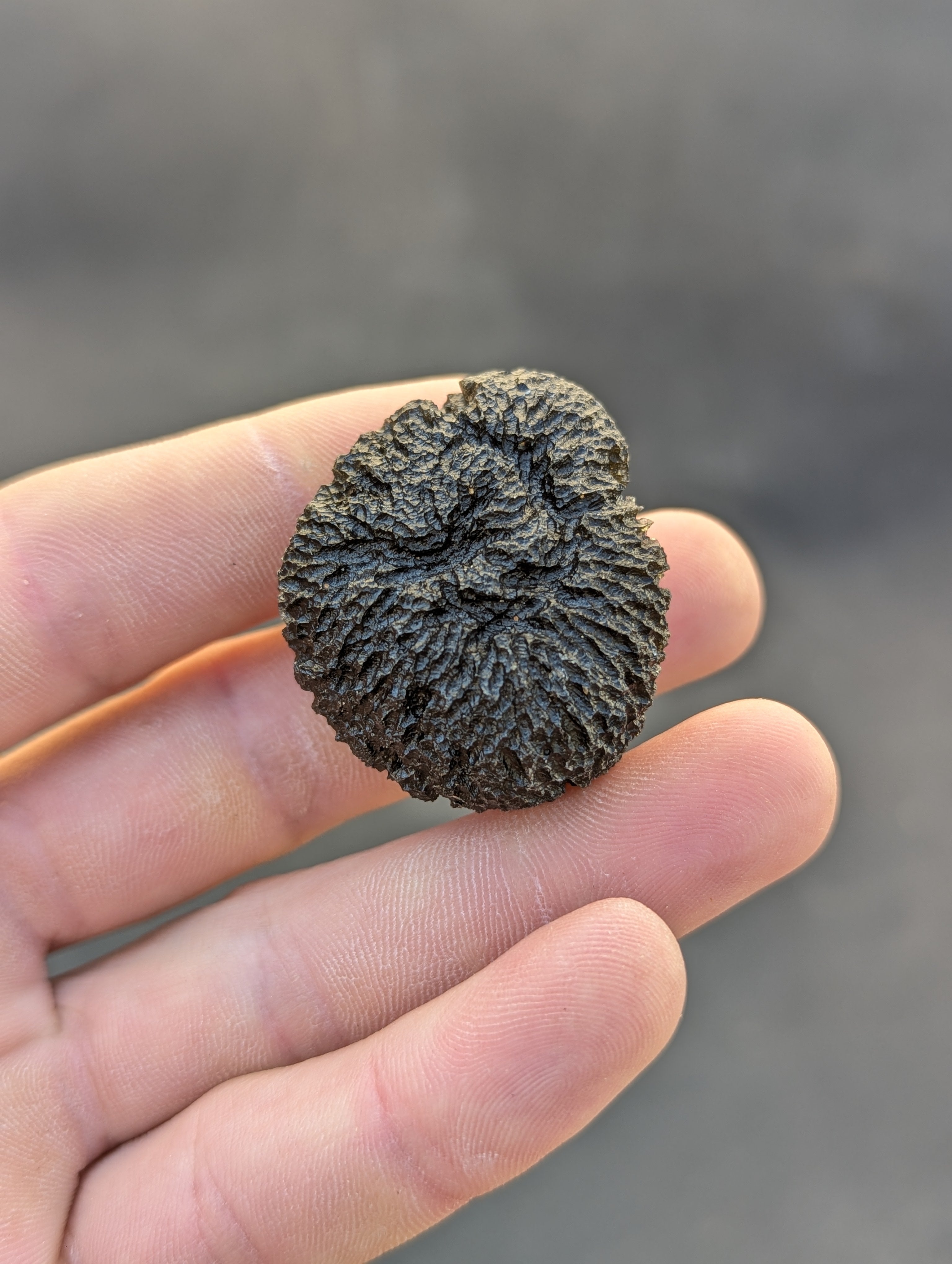 Moravian Moldavite – Mohelno | 38.17 g | Collector-Grade Specimen