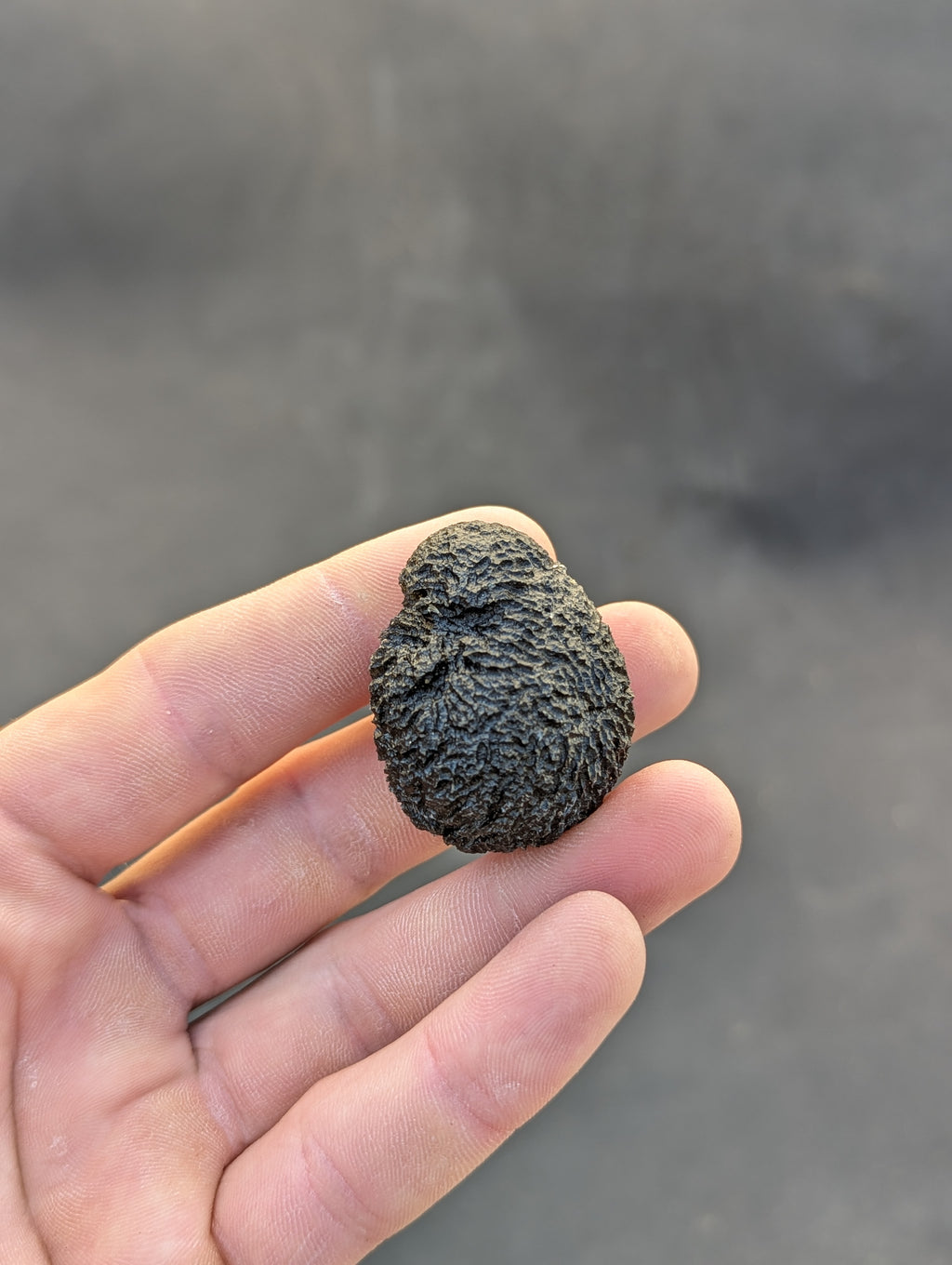 Moravian Moldavite – Mohelno | 38.17 g | Collector-Grade Specimen