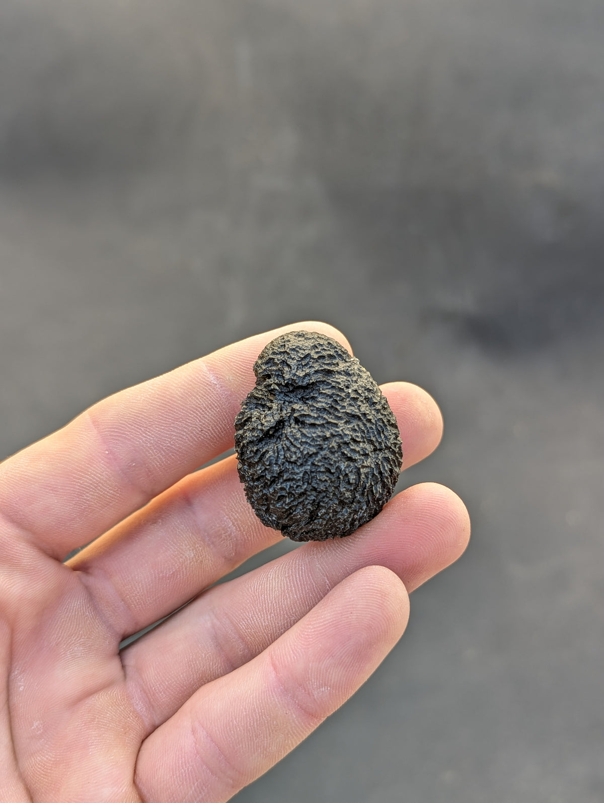 Moravian Moldavite – Mohelno | 38.17 g | Collector-Grade Specimen