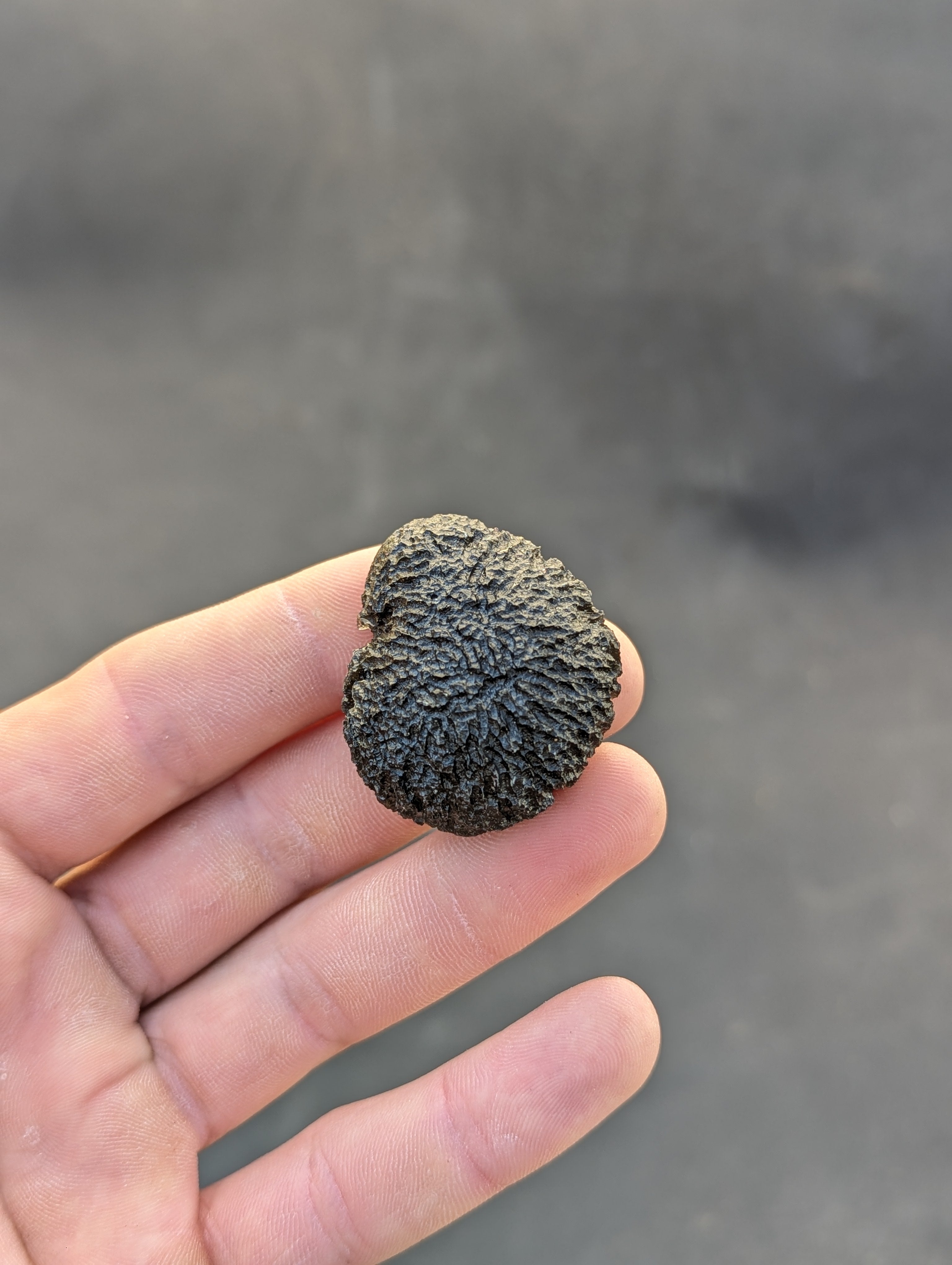 Moravian Moldavite – Mohelno | 38.17 g | Collector-Grade Specimen
