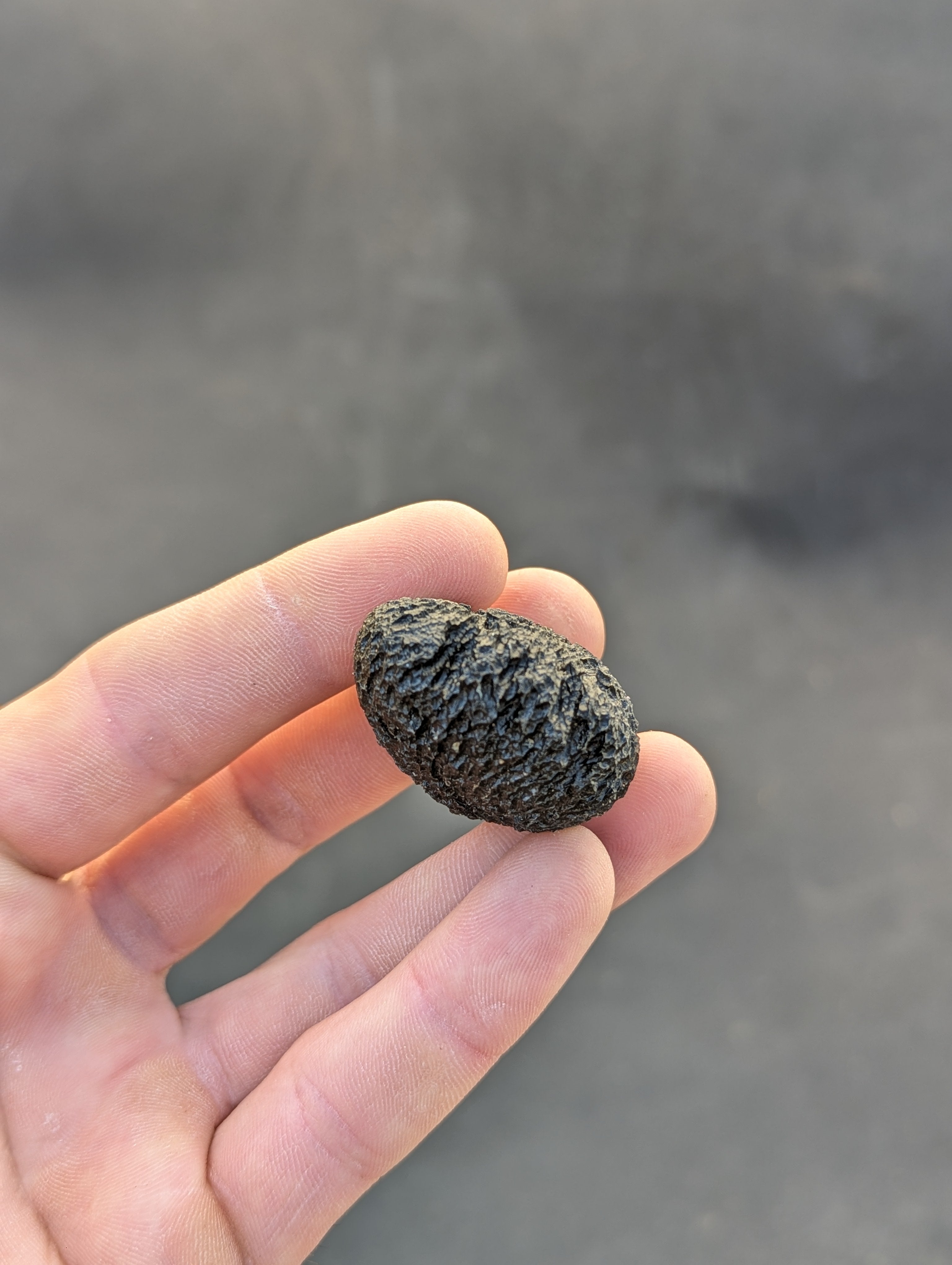 Moravian Moldavite – Mohelno | 38.17 g | Collector-Grade Specimen
