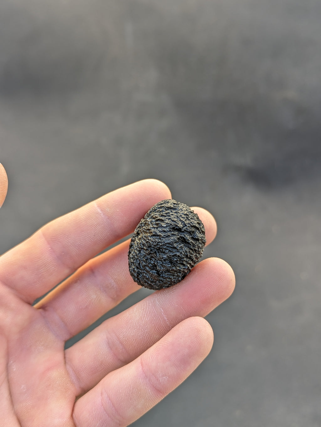 Moravian Moldavite – Mohelno | 38.17 g | Collector-Grade Specimen