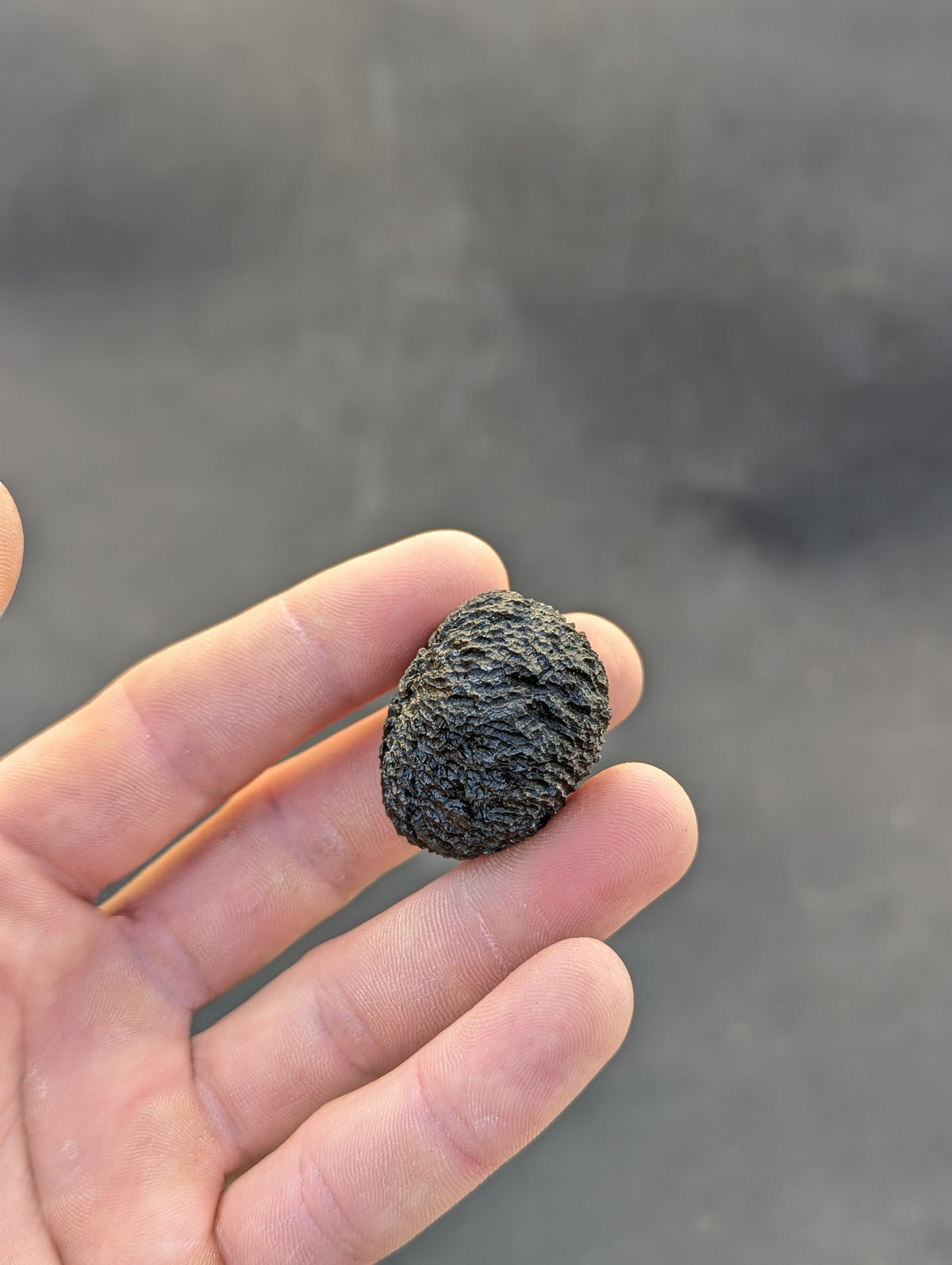 Moravian Moldavite – Mohelno | 38.17 g | Collector-Grade Specimen