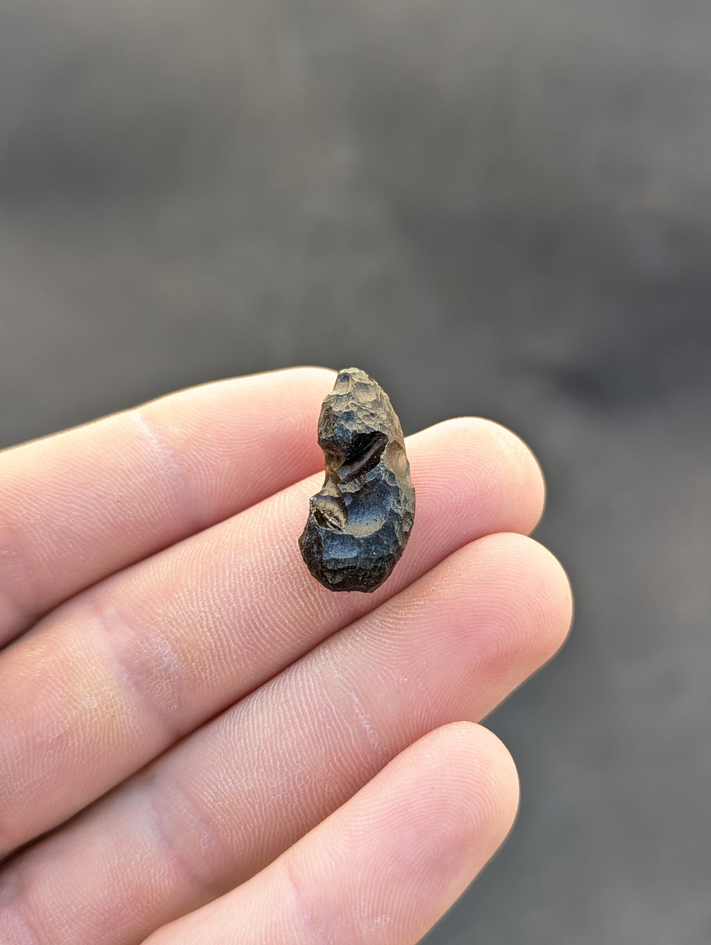 Moravian Moldavite – Slavětice | 3.81 g | Collector-Grade Specimen