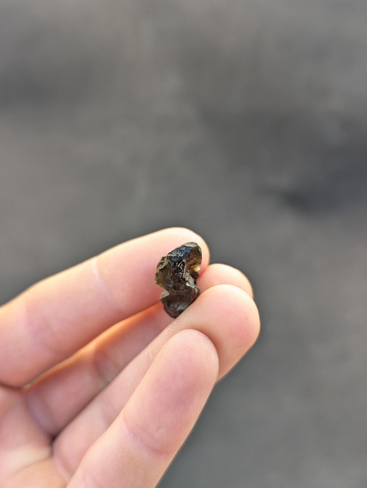 Moravian Moldavite – Slavětice | 3.81 g | Hedgehog Specimen