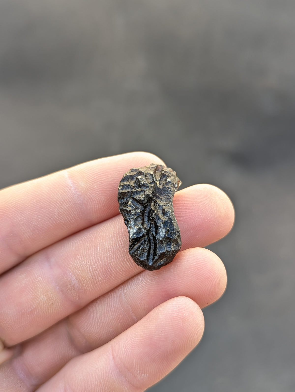 Moravian Moldavite – Slavětice | 5.48 g | Collector-Grade Specimen
