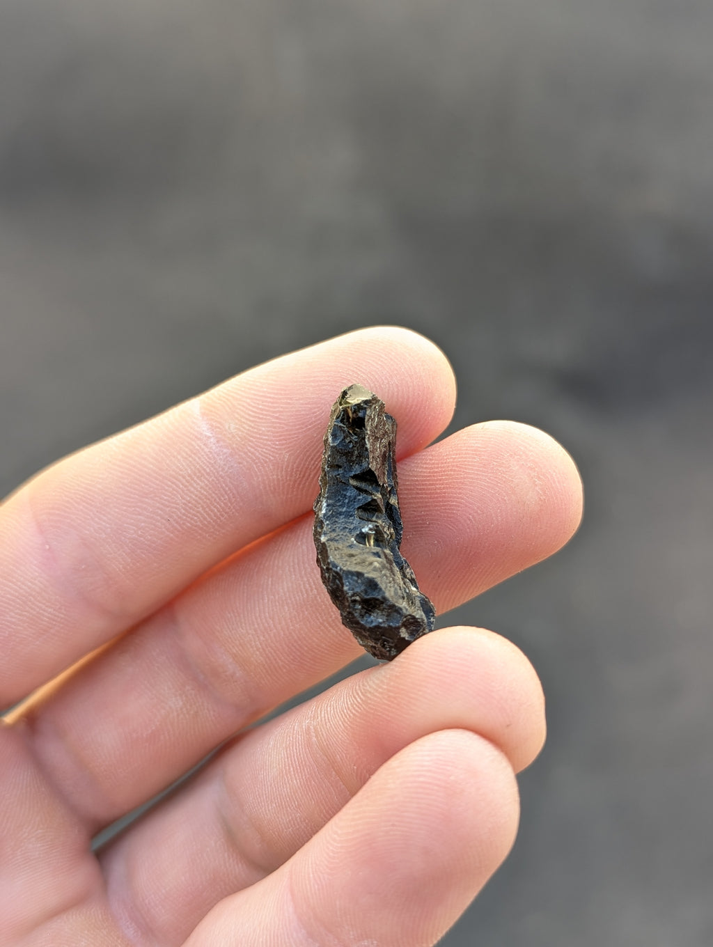 Moravian Moldavite – Slavětice | 5.48 g | Collector-Grade Specimen