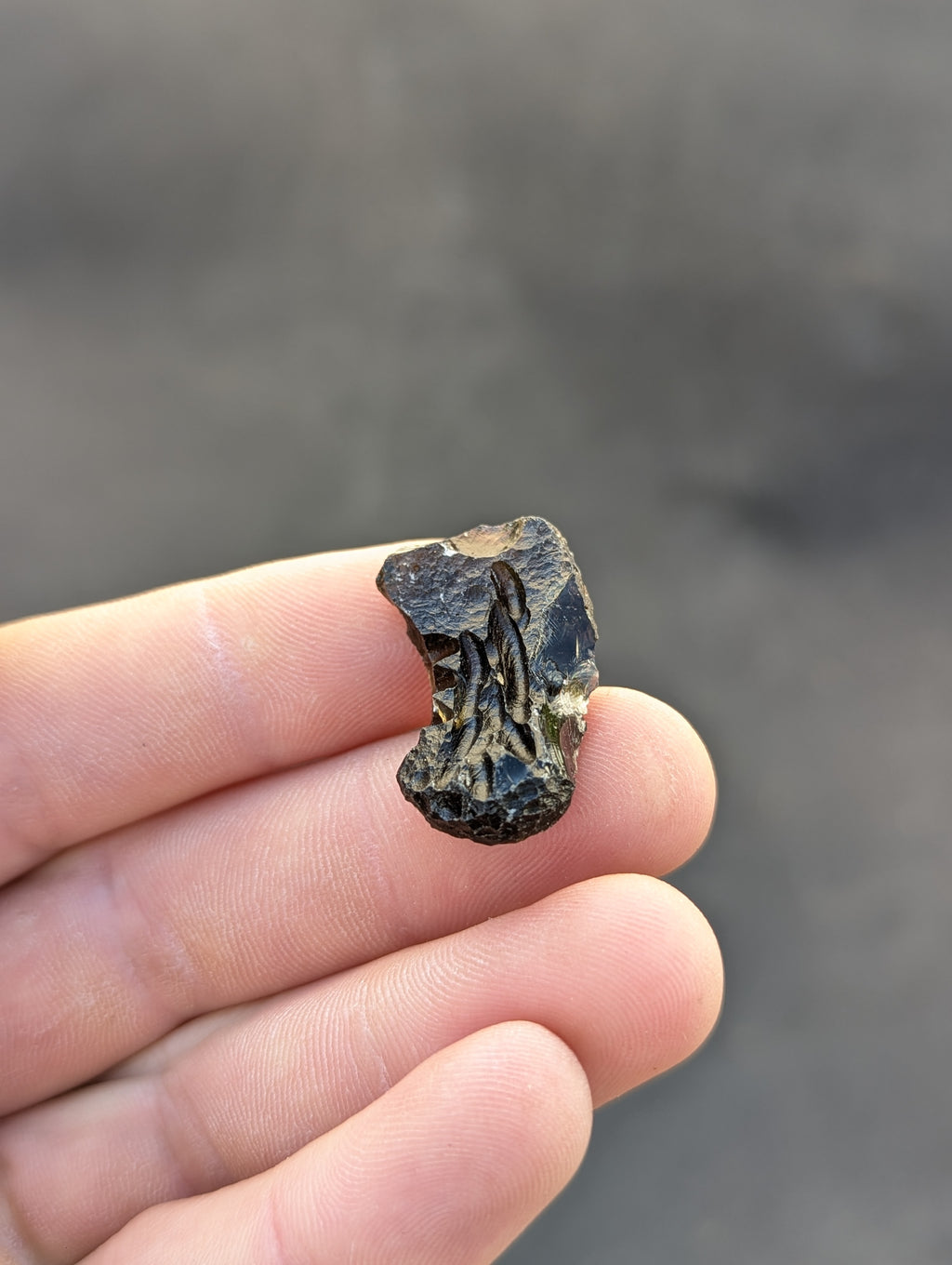 Moravian Moldavite – Slavětice | 5.47 g | Collector-Grade Specimen