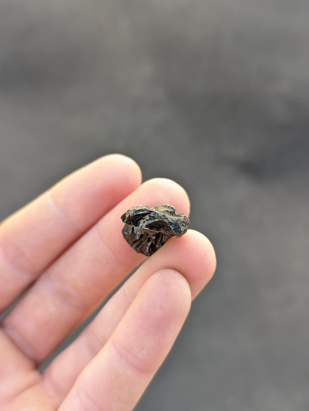 Moravian Moldavite – Slavětice | 5.48 g | Collector-Grade Specimen