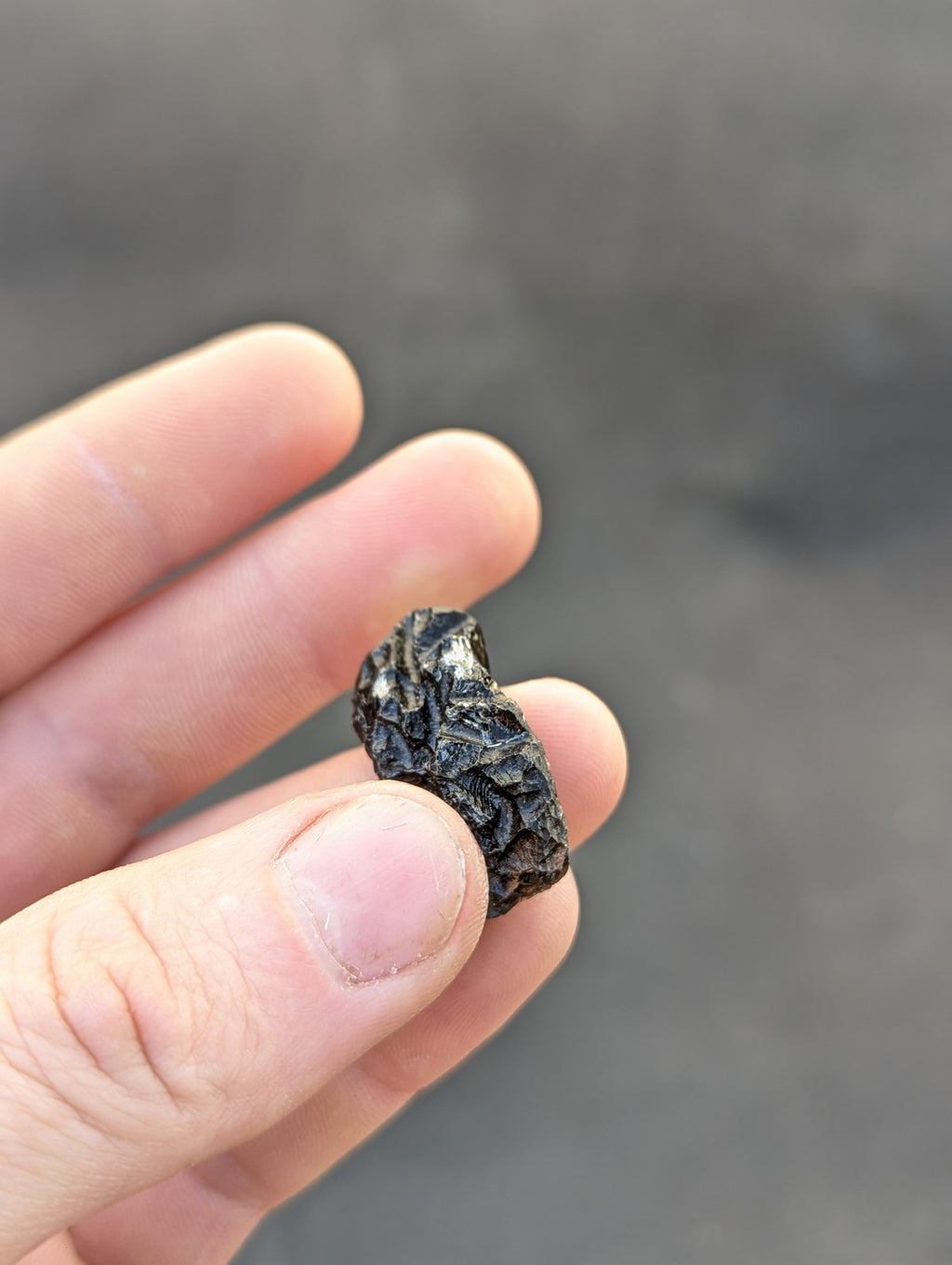 Moravian Moldavite – Slavětice | 5.48 g | Collector-Grade Specimen