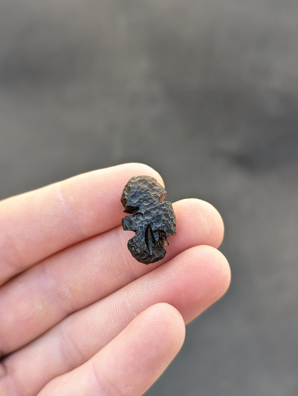 Moravian Moldavite – Slavětice | 3.58 g | Hedgehog Collector Specimen