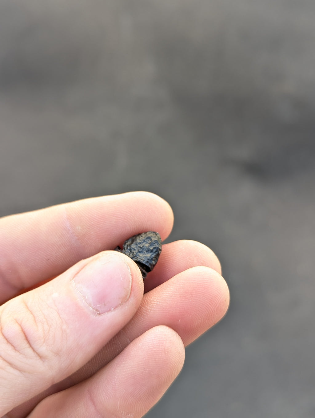 Moravian Moldavite – Slavětice | 3.54 g | Collector-Grade Specimen