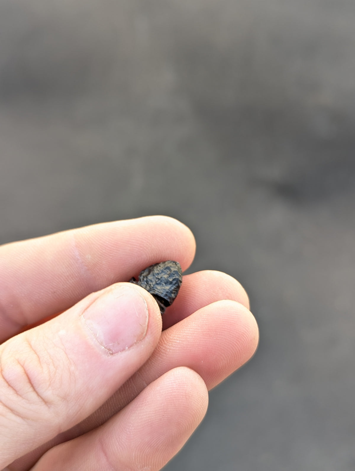 Moravian Moldavite – Slavětice | 3.54 g | Collector-Grade Specimen