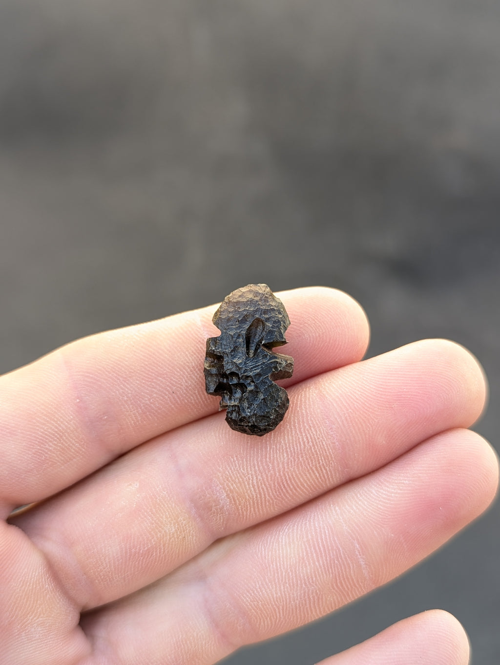 Moravian Moldavite – Slavětice | 3.54 g | Collector-Grade Specimen