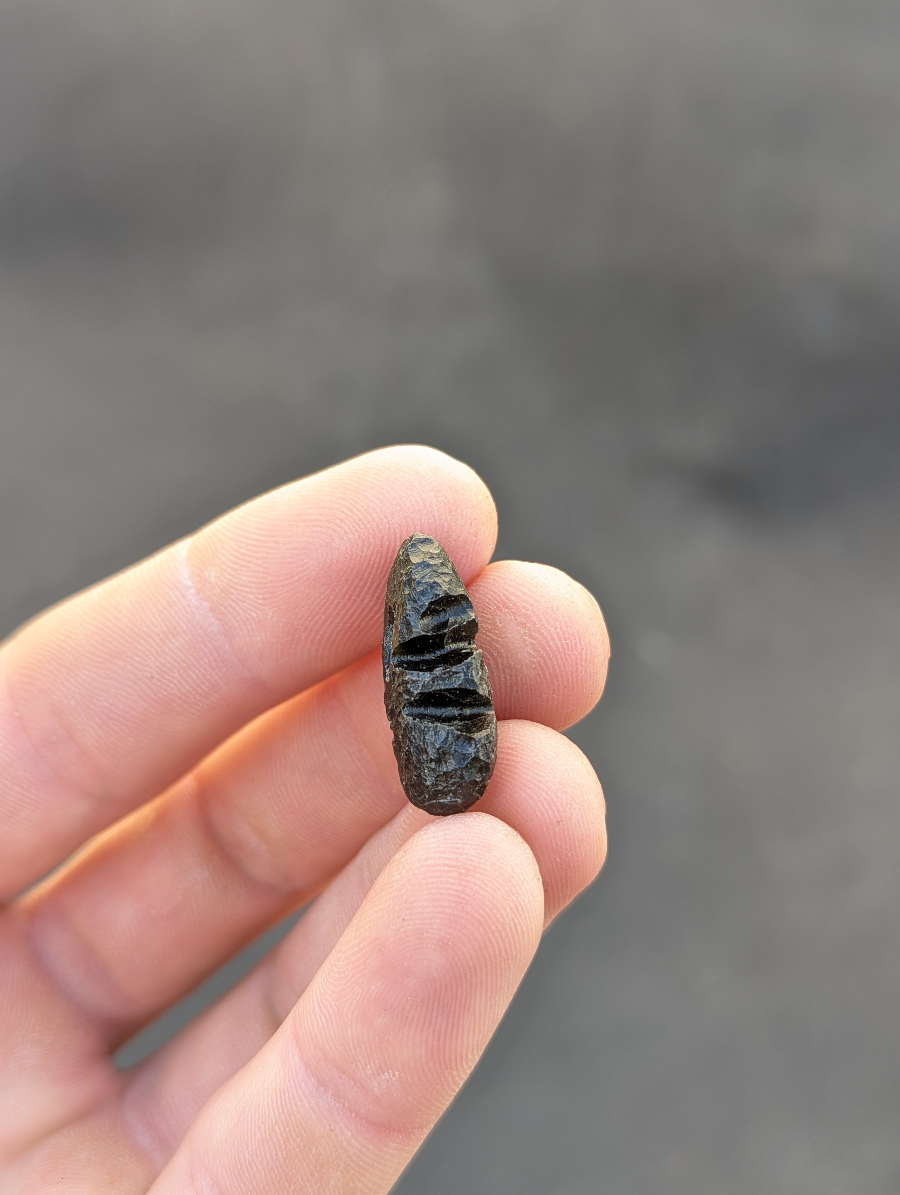 Moravian Moldavite – Slavětice | 3.58 g | Hedgehog Collector Specimen