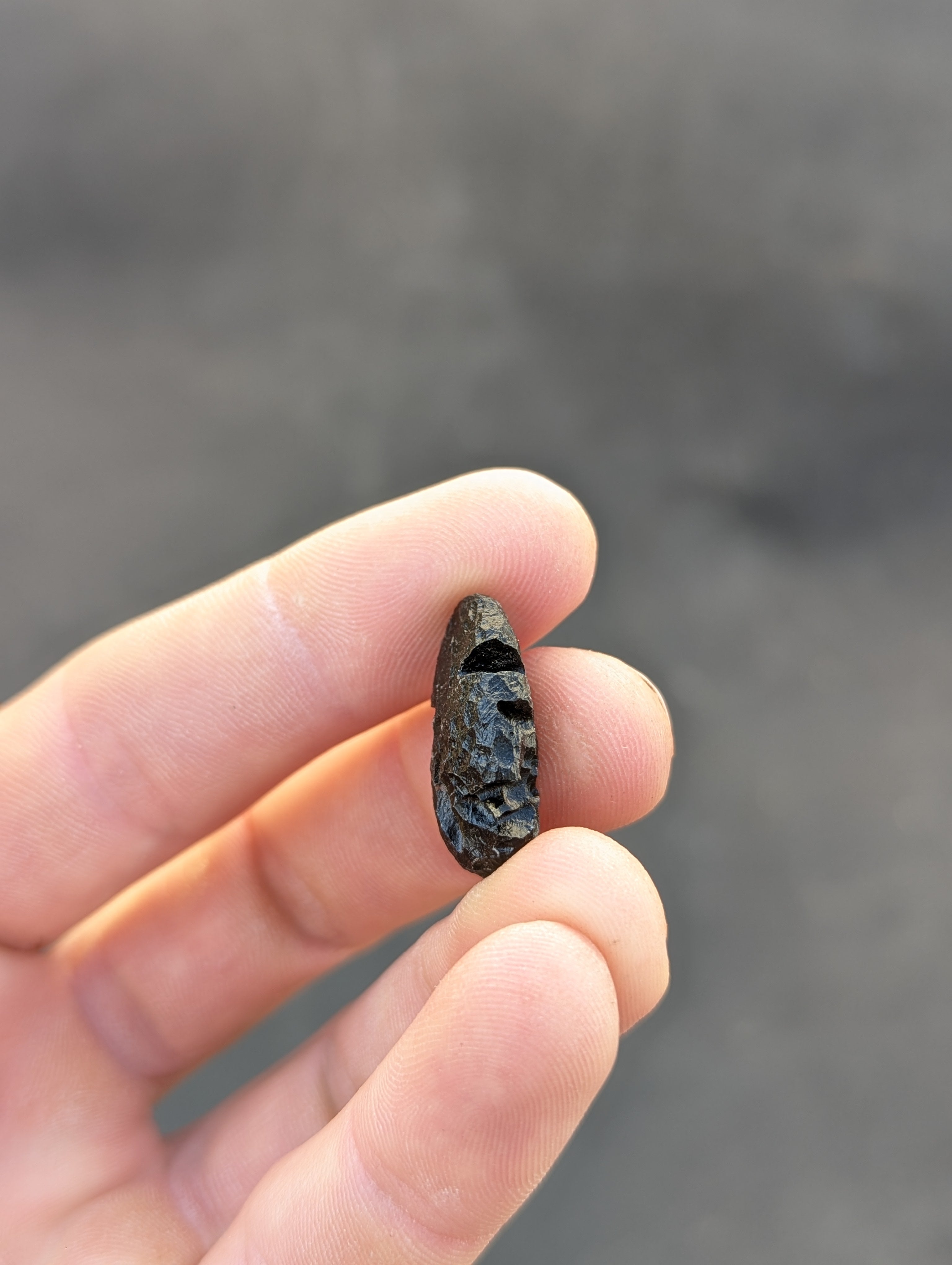 Moravian Moldavite – Slavětice | 3.58 g | Hedgehog Collector Specimen