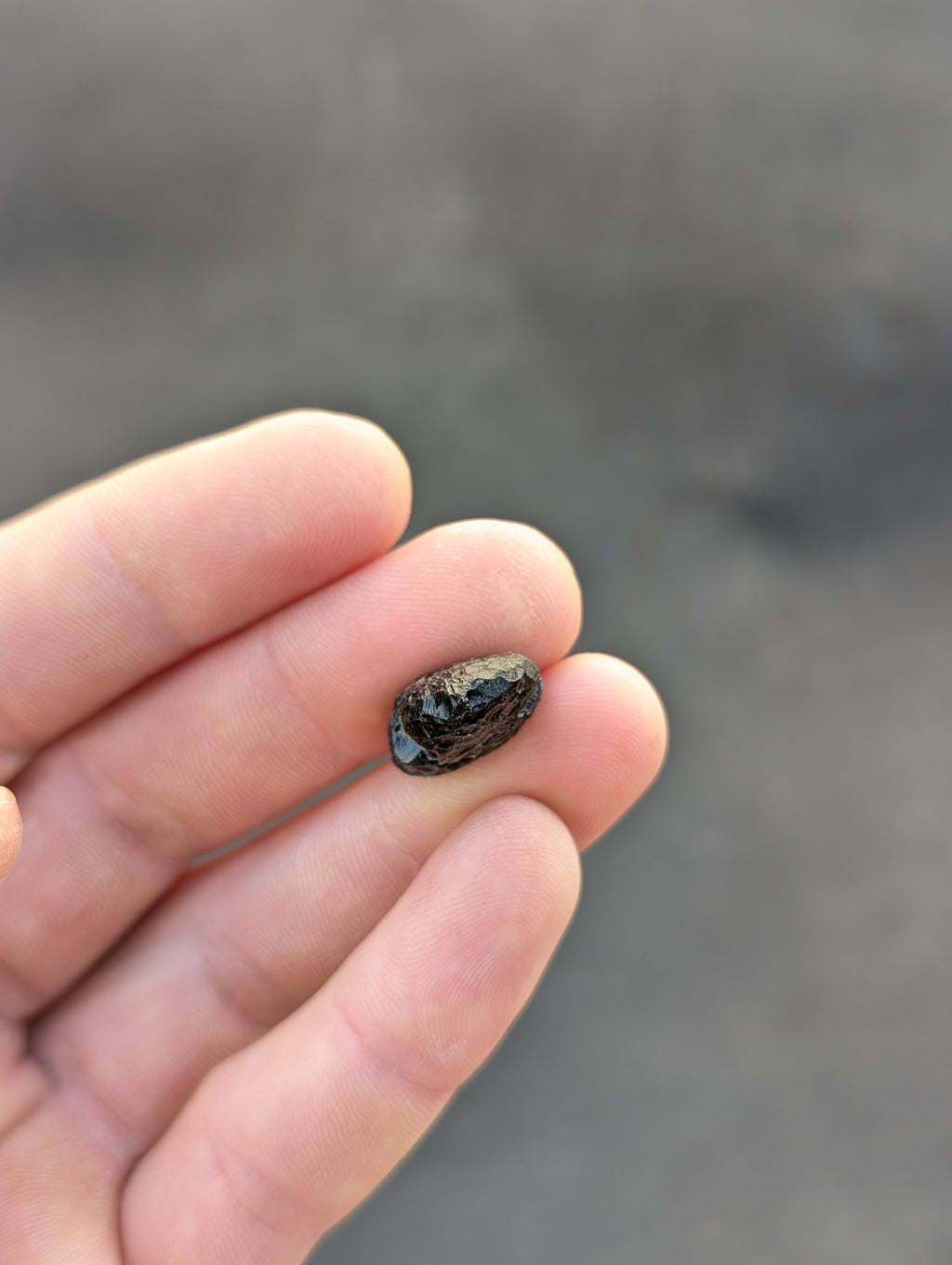 Moravian Moldavite – Slavětice | 3.58 g | Hedgehog Collector Specimen