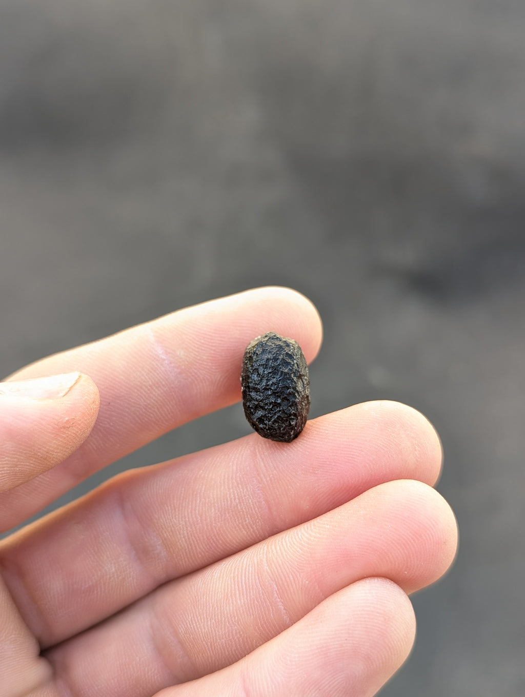 Moravian Moldavite – Slavětice | 4.26 g | Collector-Grade Specimen