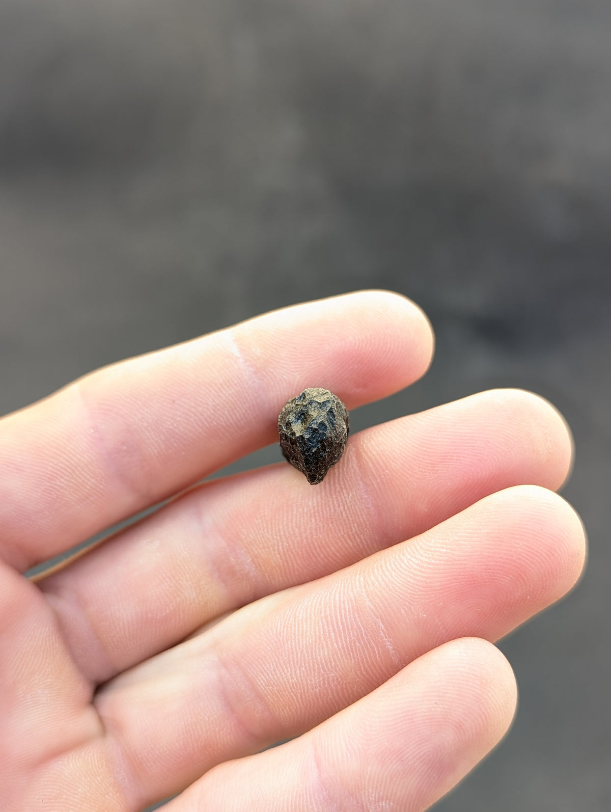 Moravian Moldavite – Slavětice | 4.16 g | Collector-Grade Specimen