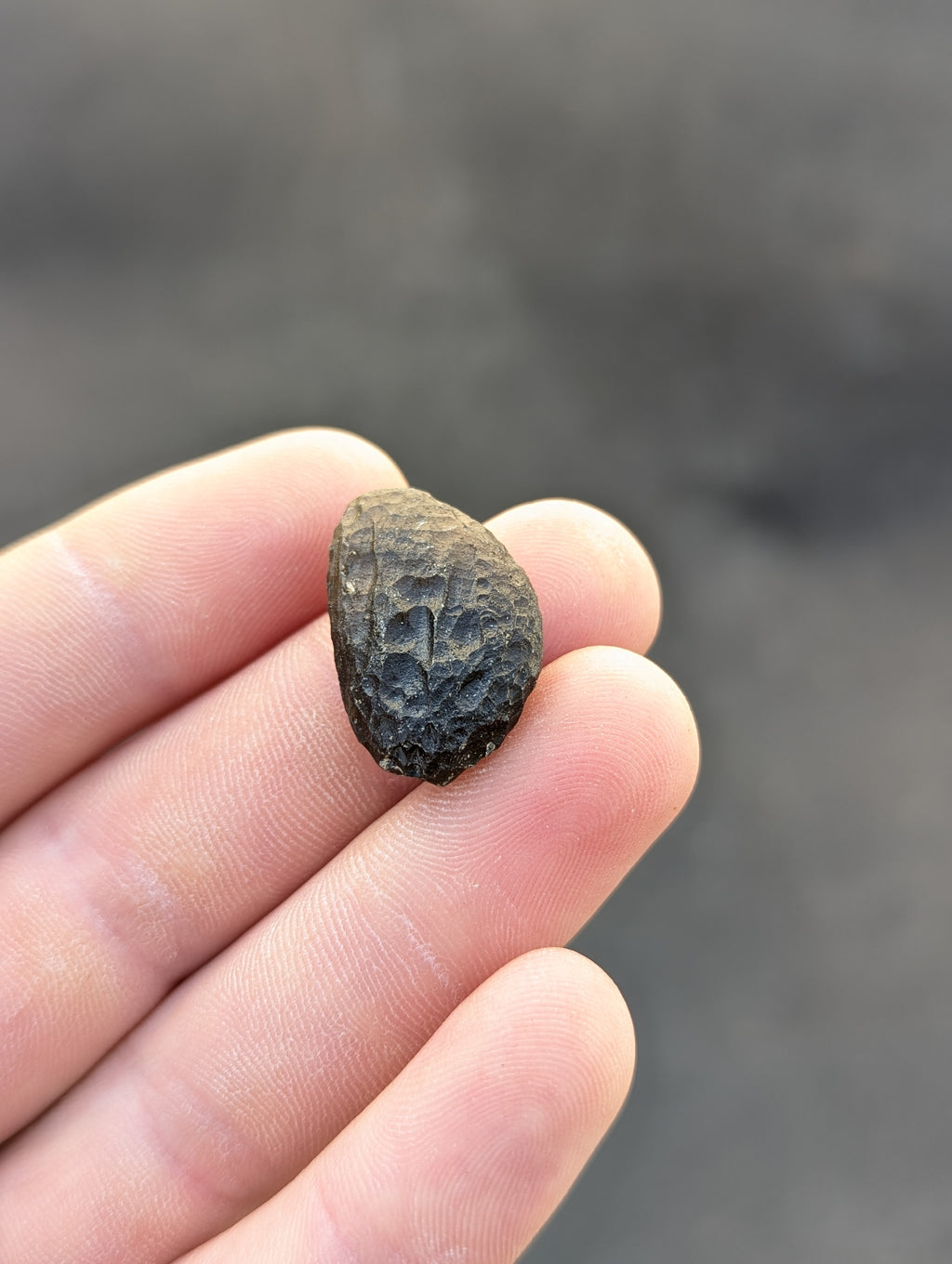 Moravian Moldavite – Slavětice | 4.25 g | Collector-Grade Specimen