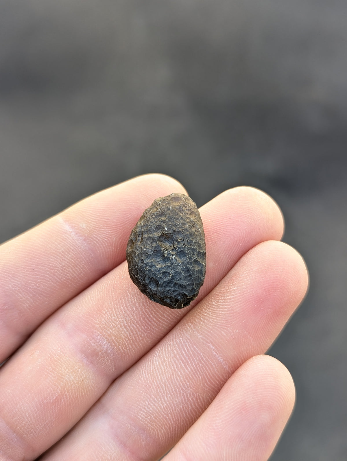 Moravian Moldavite – Slavětice | 4.25 g | Collector-Grade Specimen