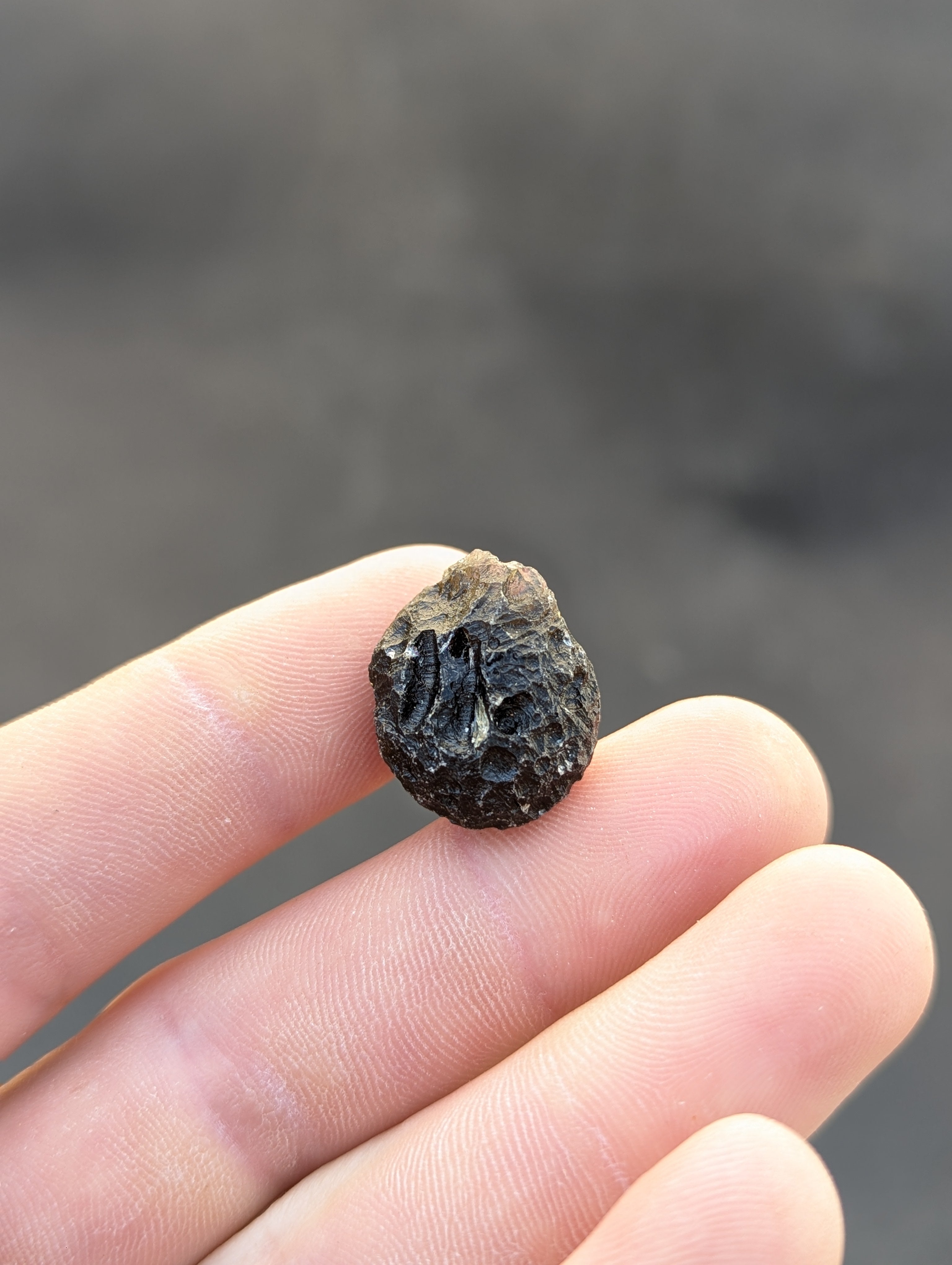 Moravian Moldavite – Skryje | 5.32 g | Collector-Grade Specimen