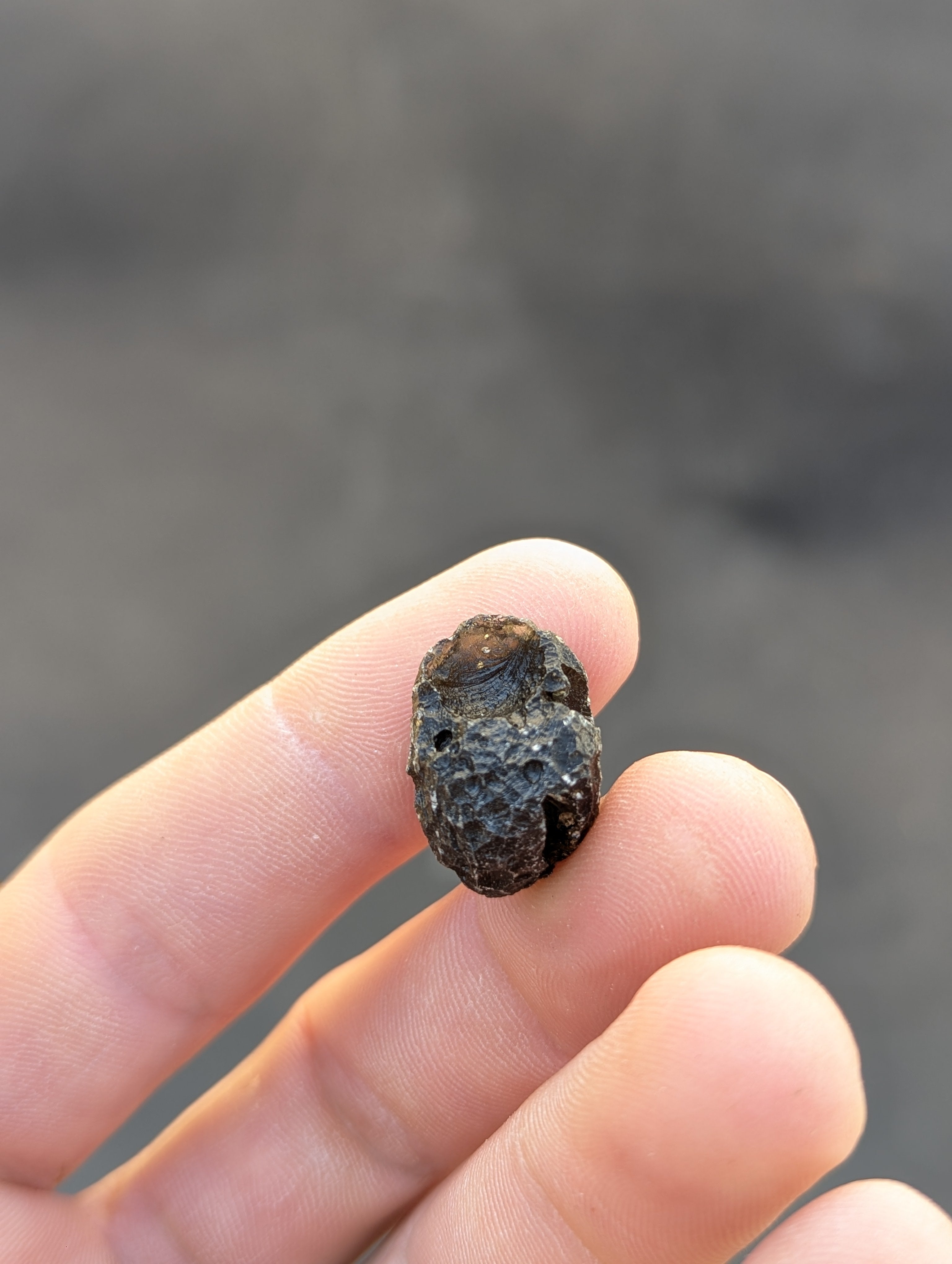 Moravian Moldavite – Skryje | 5.32 g | Collector-Grade Specimen