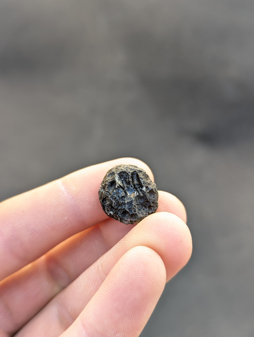 Moravian Moldavite – Skryje | 5.32 g | Collector-Grade Specimen