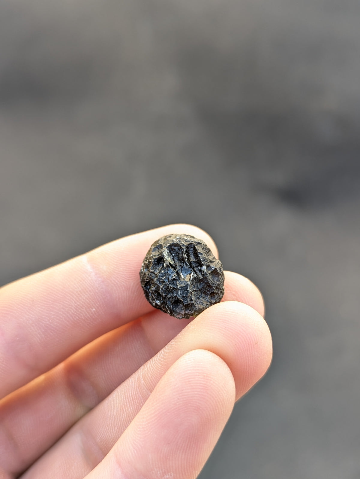 Moravian Moldavite – Skryje | 5.32 g | Collector-Grade Specimen