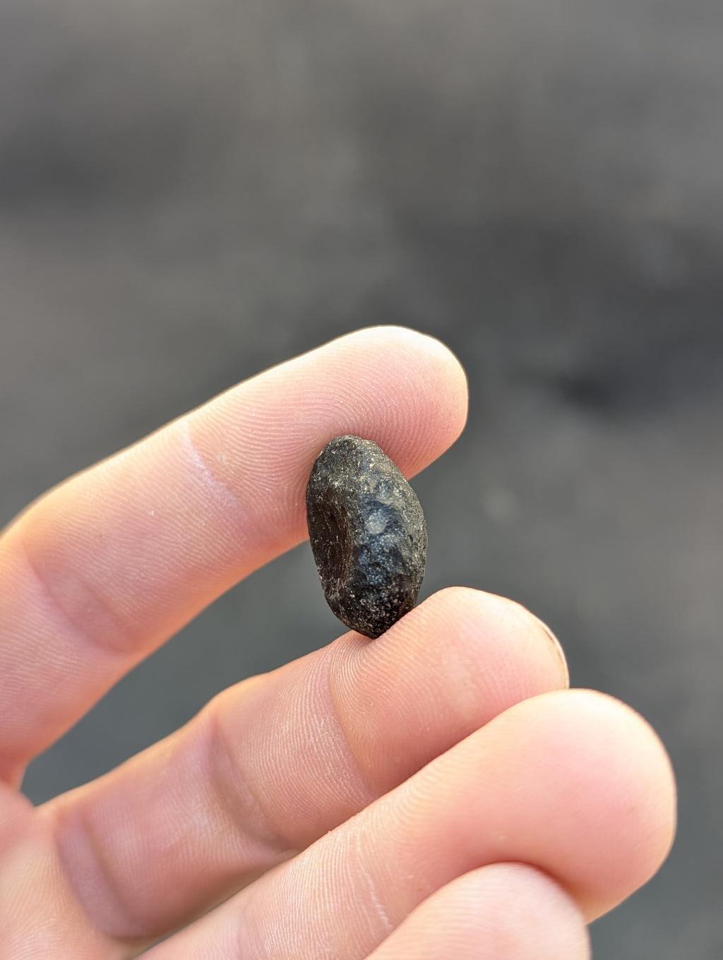 Moravian Moldavite – Slavětice | 4.47 g | Collector-Grade Specimen