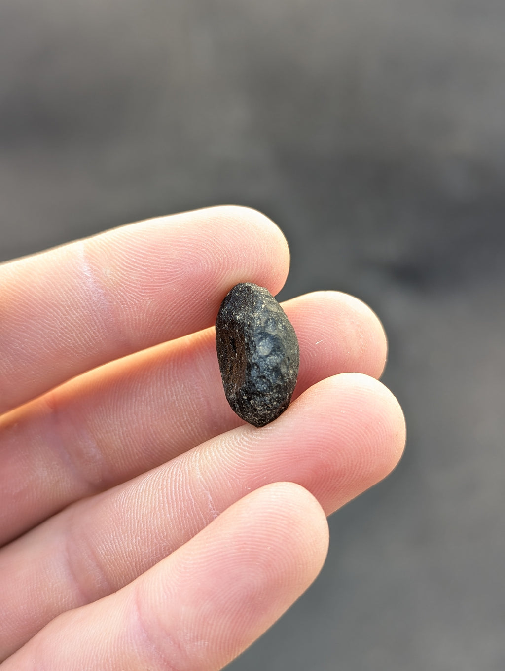 Moravian Moldavite – Slavětice | 4.47 g | Collector-Grade Specimen