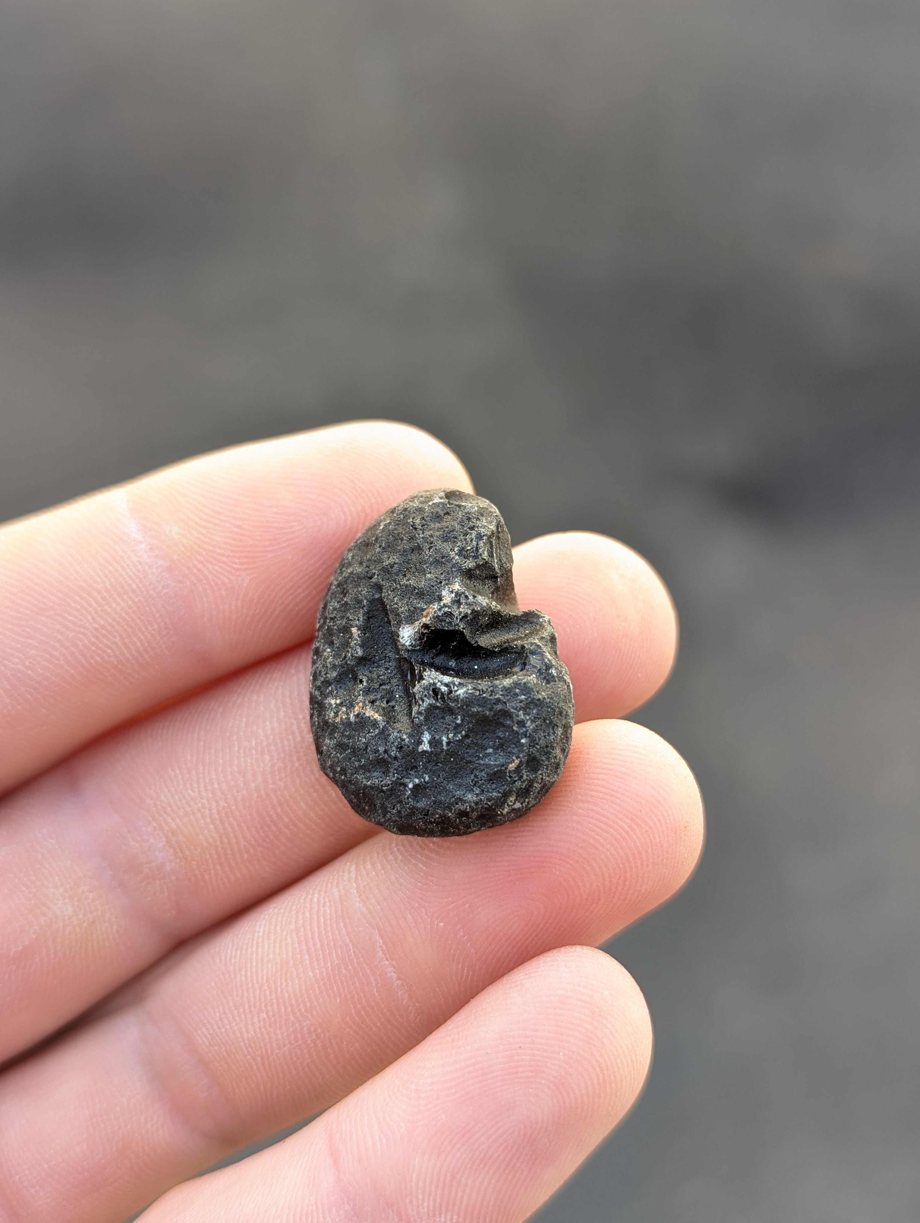 Moravian Moldavite – Slavětice | 10.43 g | Collector-Grade Specimen