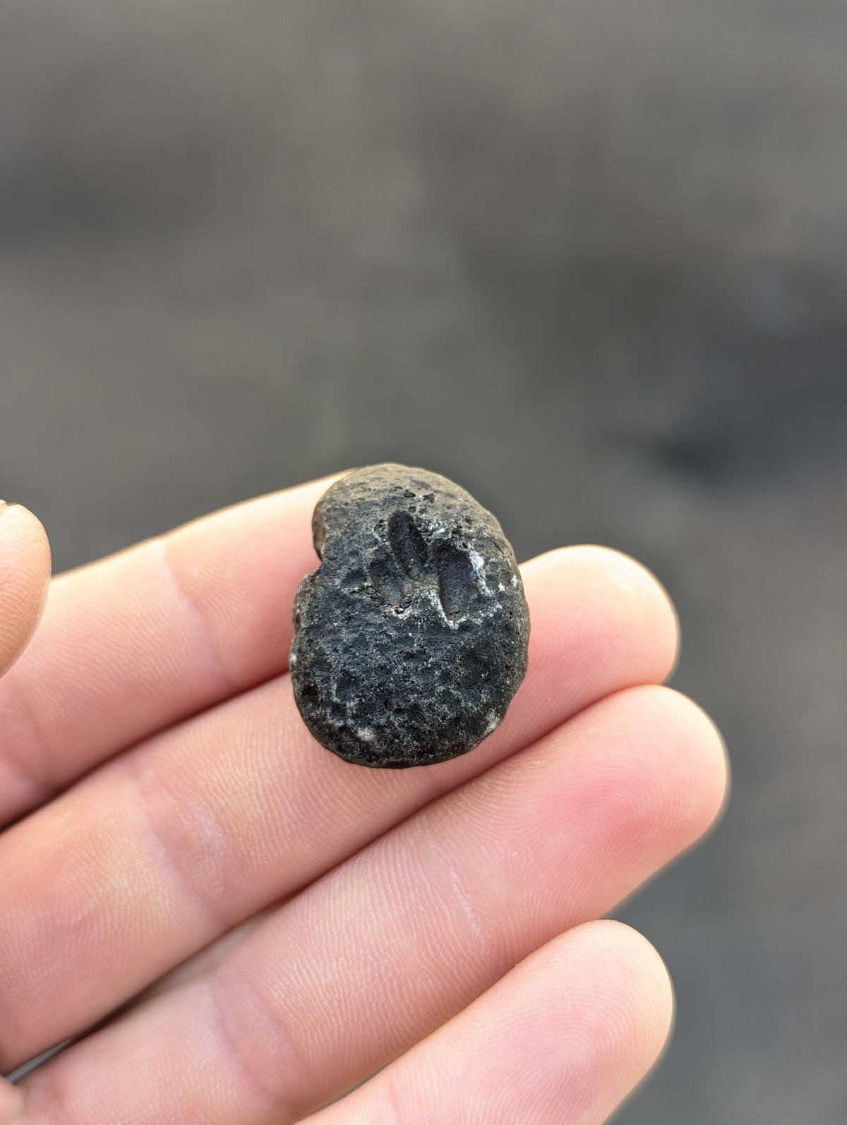 Moravian Moldavite – Slavětice | 10.43 g | Collector-Grade Specimen