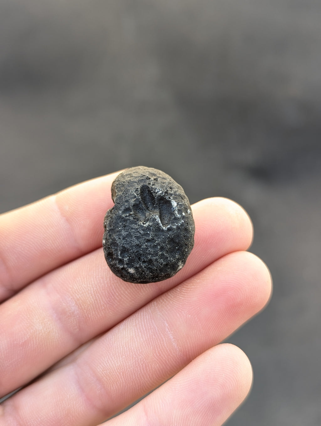 Moravian Moldavite – Slavětice | 10.43 g | Collector-Grade Specimen