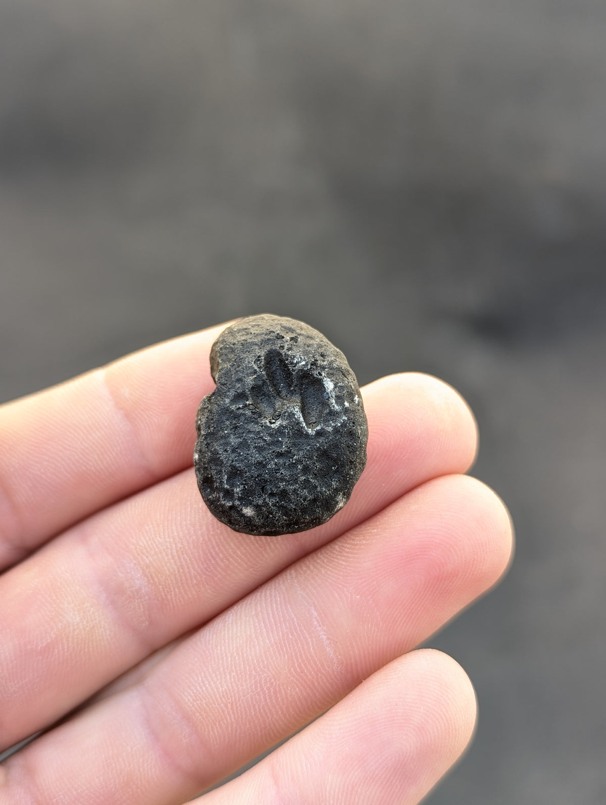 Moravian Moldavite – Slavětice | 10.43 g | Collector-Grade Specimen